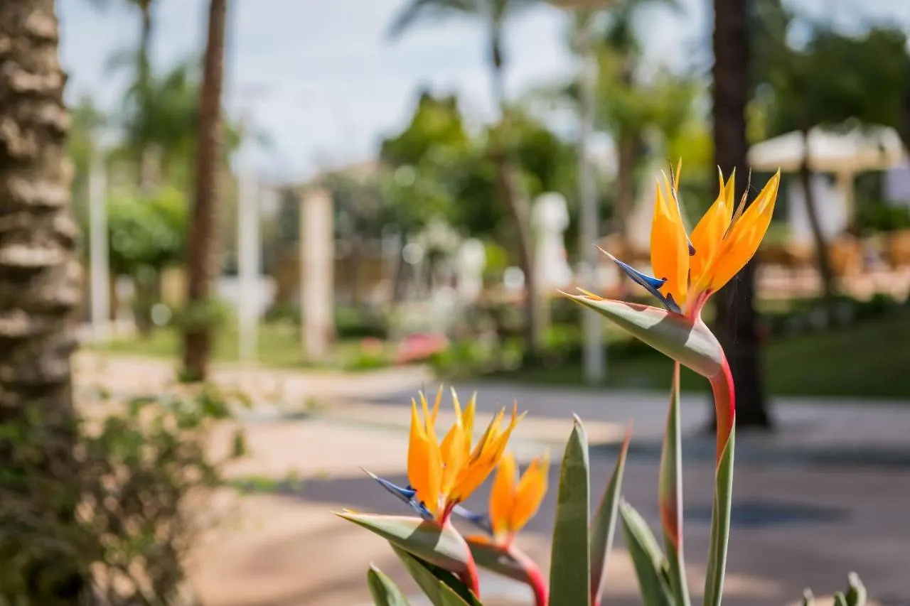 Alanda Marbella Hotel 5*,